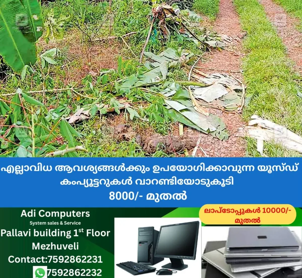 newskerala.net_1761121696_iritty-wild-elephant-attack2