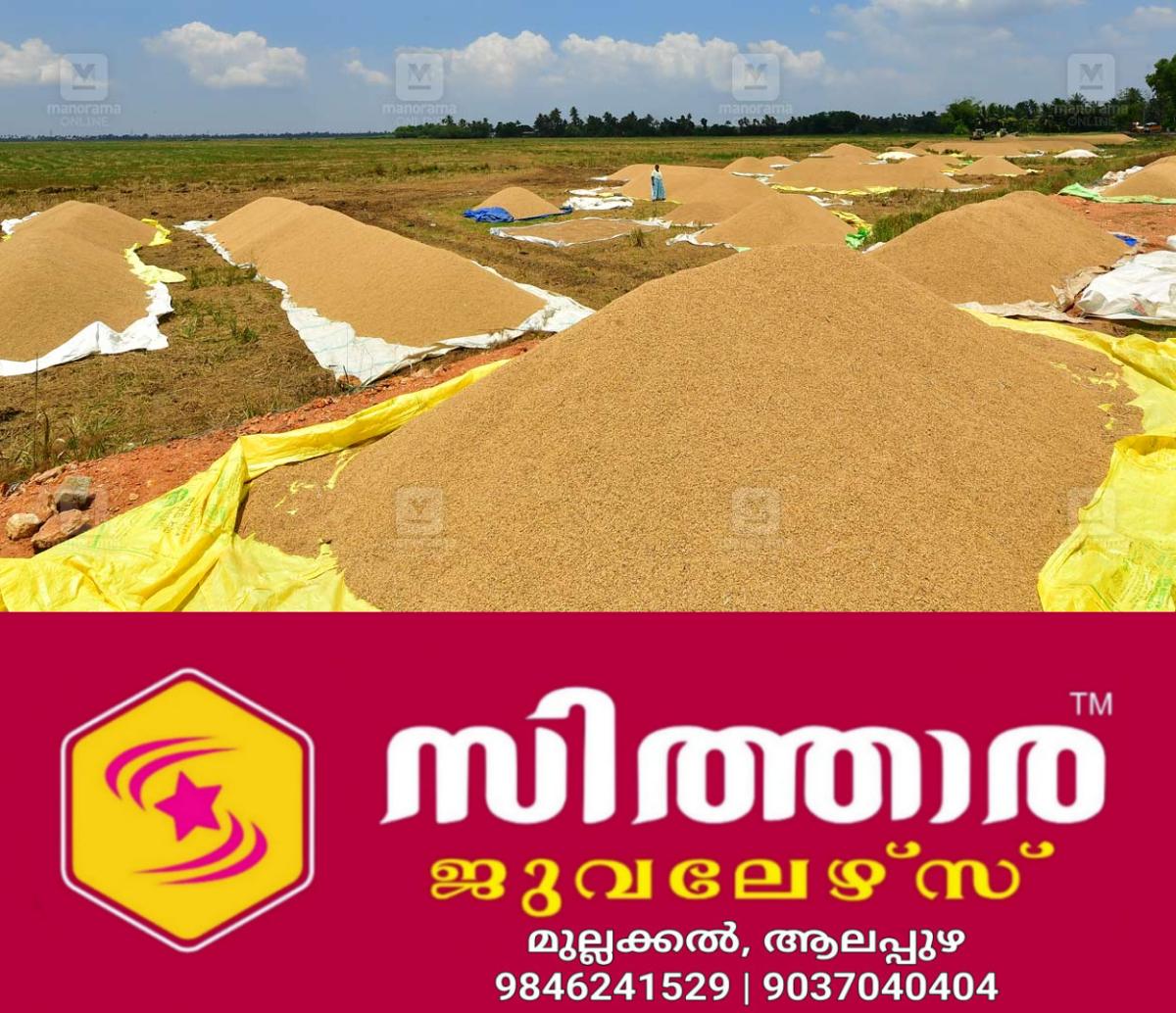 newskerala.net_1761153253_malarickal-paddy