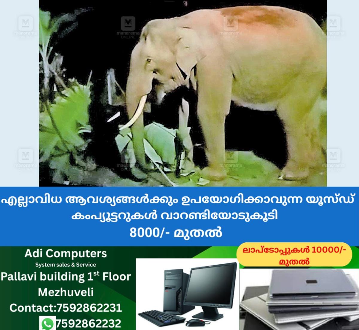 newskerala.net_1761195145_1761195017_gudallur-elephant