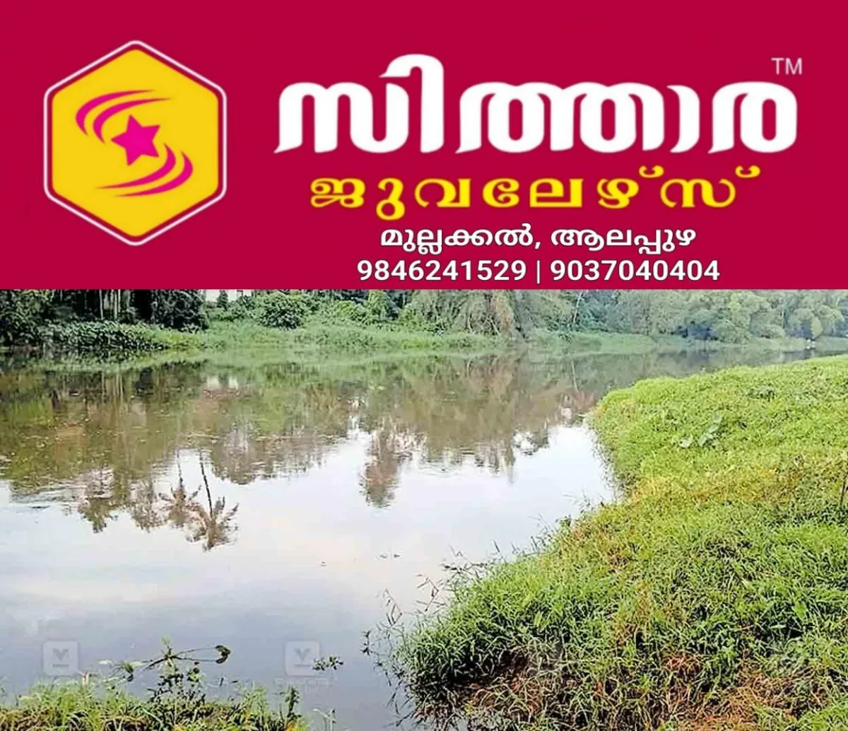 newskerala.net_1761206525_alappuzha-bridge-area-pamba-river