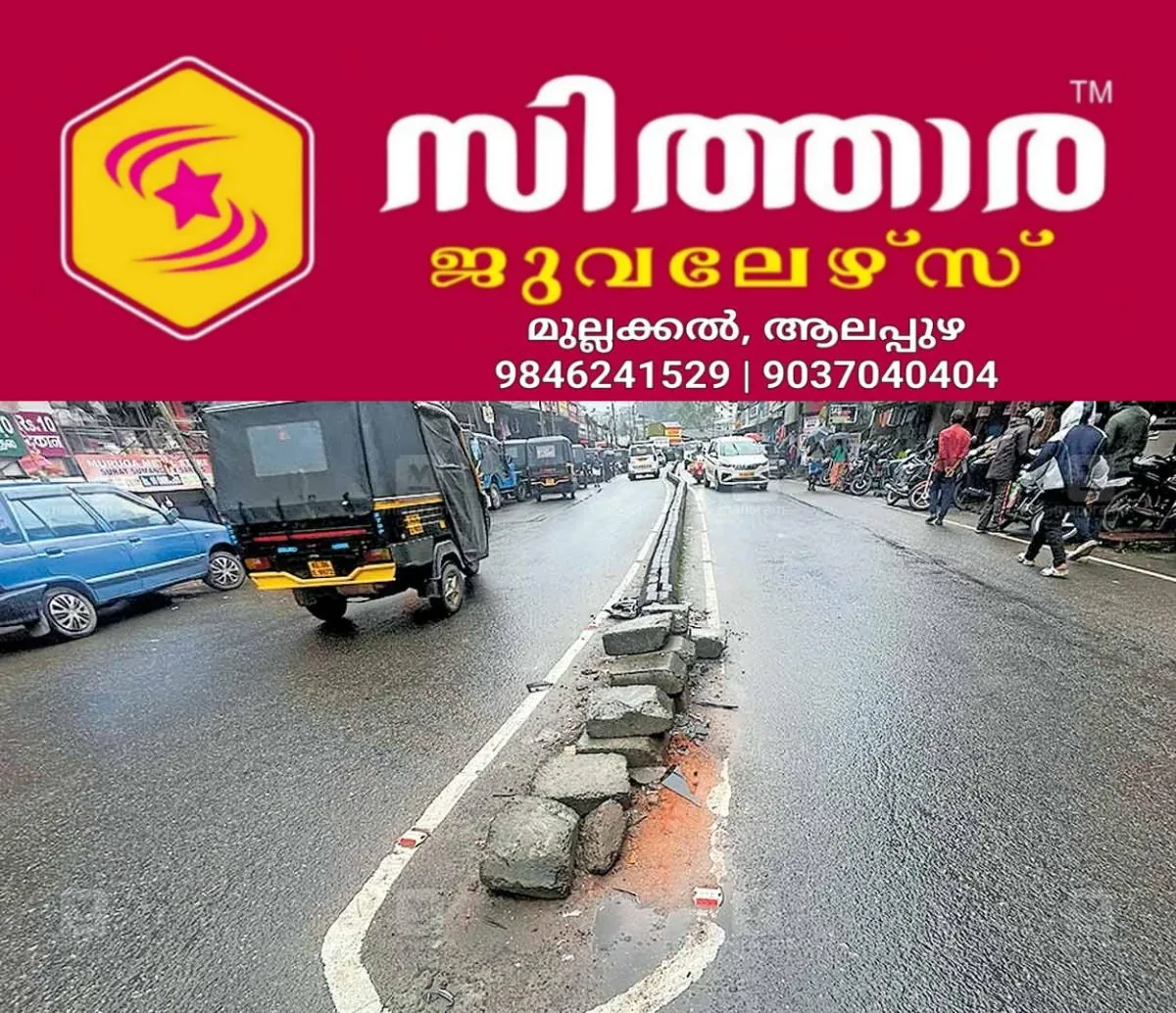 newskerala.net_1761276383_Road-Divider