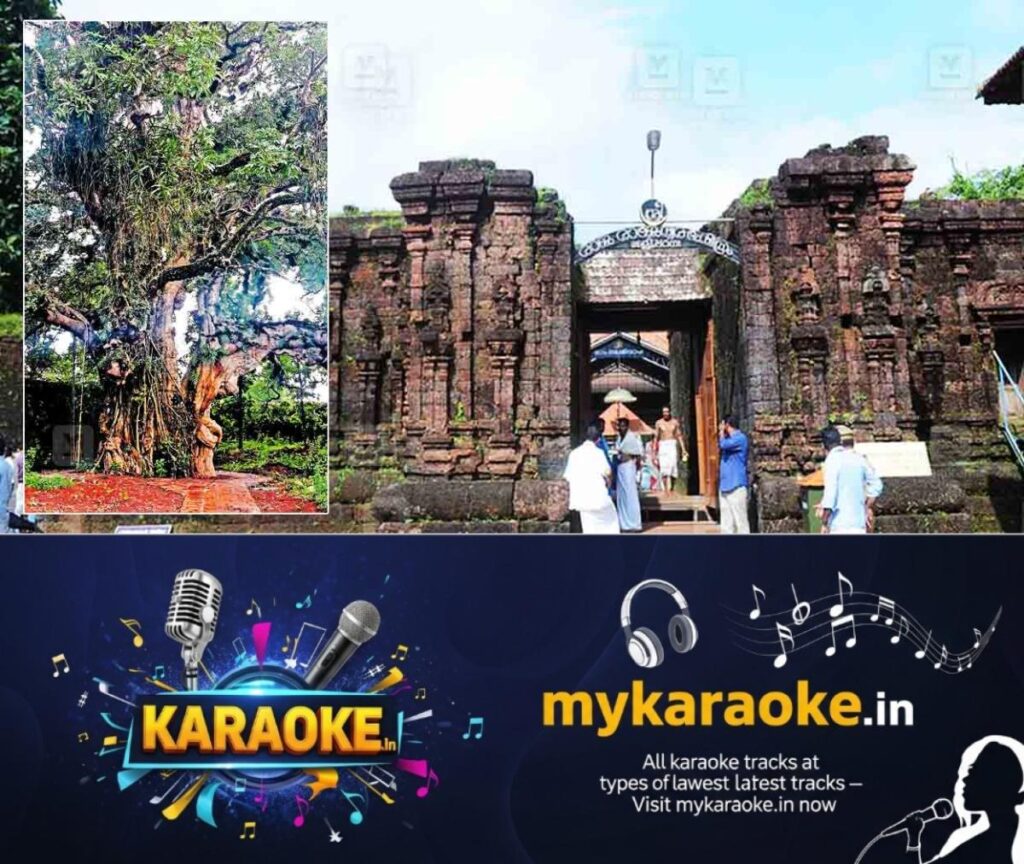 newskerala.net_1761287893_Raja-rajeshwara-Temple-thaliparambu