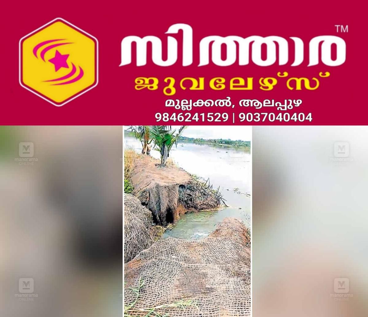 newskerala.net_1761341643_manjur-fram-damage