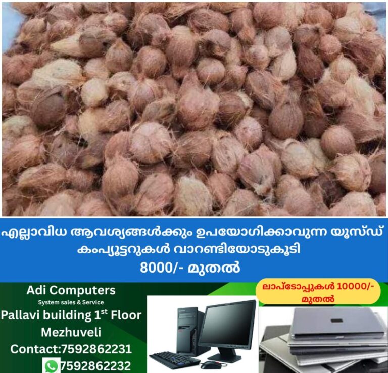 newskerala.net_1761454342_w-1280h-720format-jpgimgid-01k8fdhhgfmwmv6s17m45bspjtimgname-coconut-theft-in-kozhikode-17614541