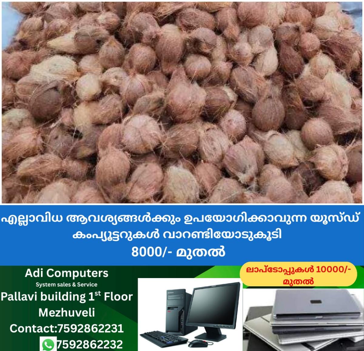 newskerala.net_1761454342_w-1280h-720format-jpgimgid-01k8fdhhgfmwmv6s17m45bspjtimgname-coconut-theft-in-kozhikode-17614541