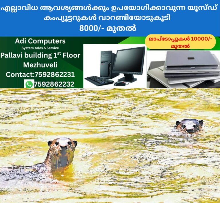 newskerala.net_1761461823_otters