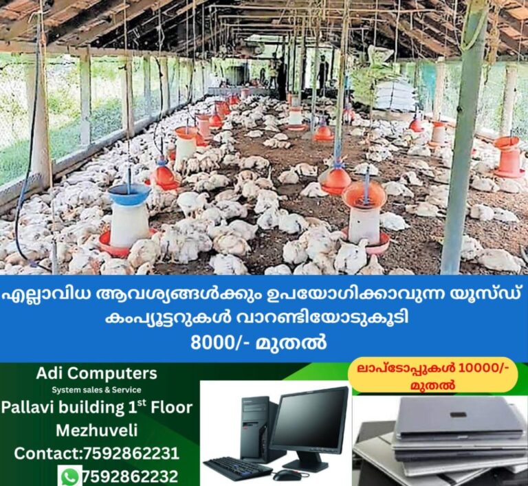 newskerala.net_1761466465_stray-dog-attack-poultry-farm-loss