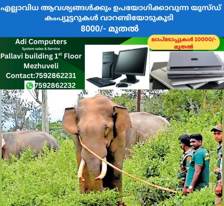 newskerala.net_1761544204_wild-elephant-radhakrishnan
