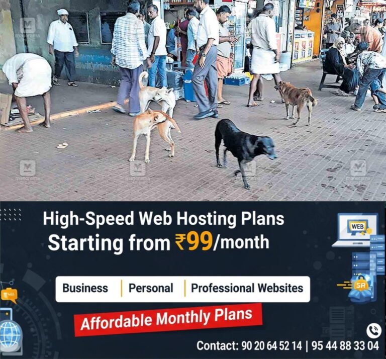 newskerala.net_1761544323_thalipparambu-stray-dog-issue