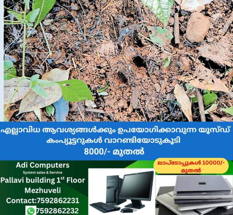 newskerala.net_1761544563_forest-patrolling-leopard-sighting