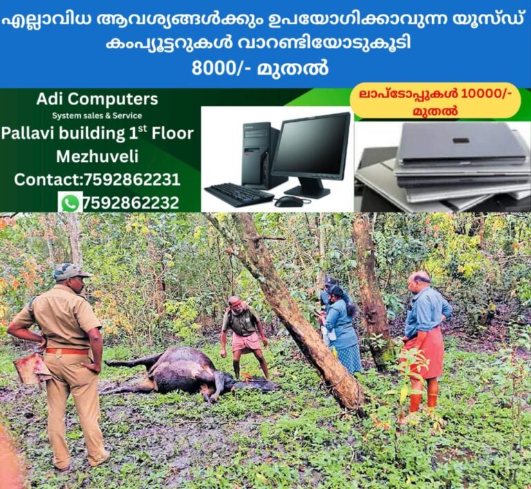 newskerala.net_1761592582_bathery-tiger-attack