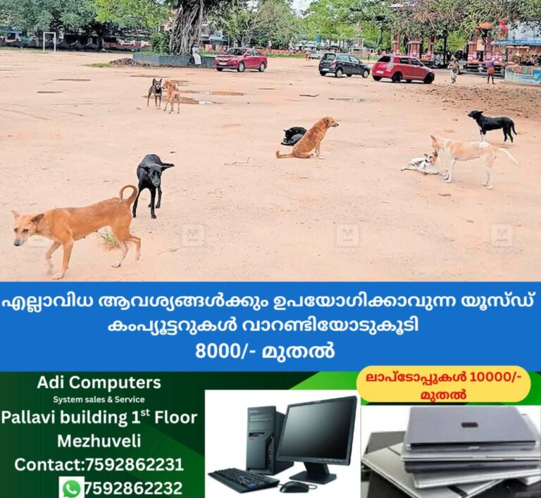 newskerala.net_1761597722_stray-dog-threat-sharkara-temple