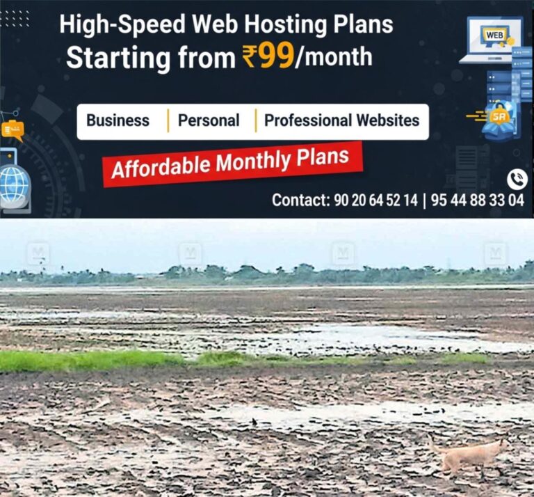 newskerala.net_1761622823_punchakrishi-paddyfields