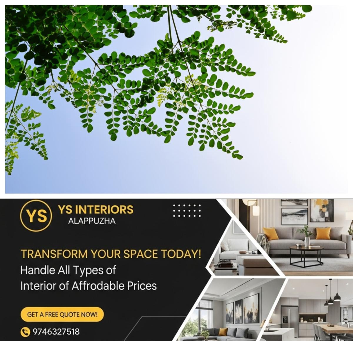 newskerala.net_1761668655_w-1280h-720format-jpgimgid-01k8np9fv2kz9c4bpskjb6wqfgimgname-mixcollage-28-oct-2025-08-46-pm-392