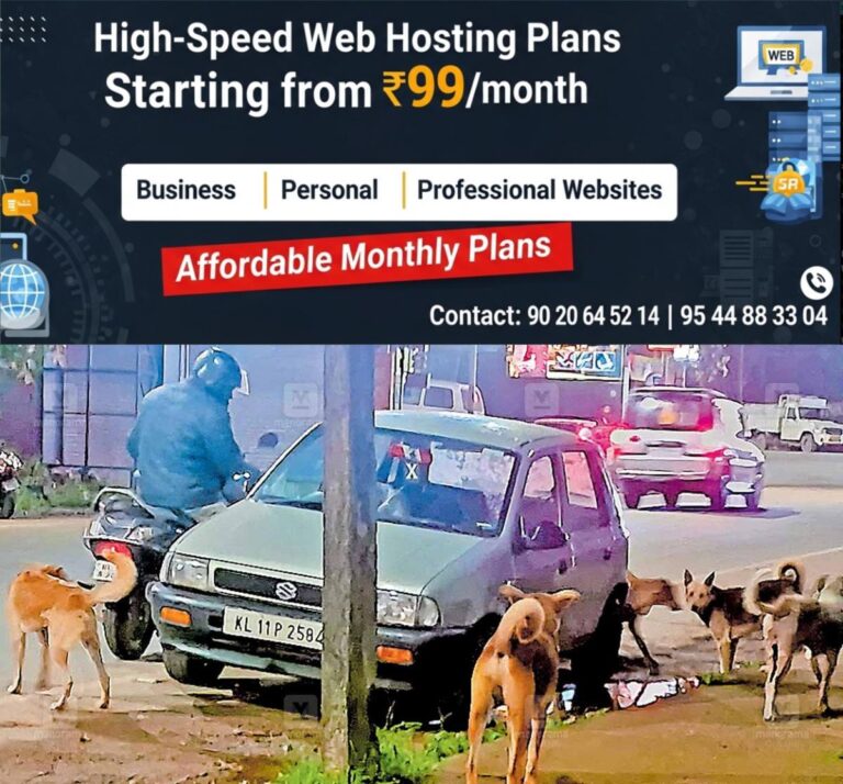 newskerala.net_1761714483_mananthavady-stary-dogs