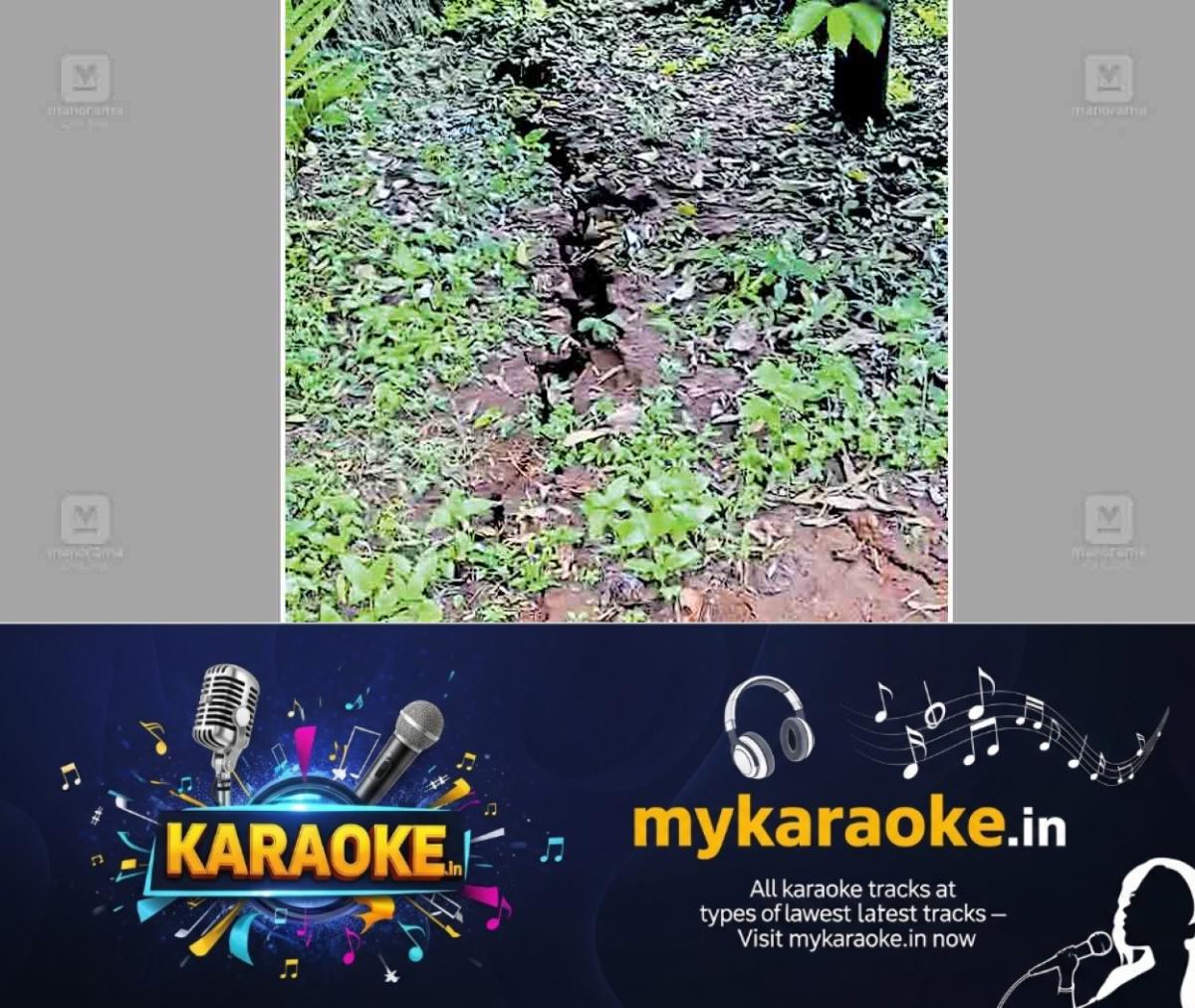 newskerala.net_1761724223_nh-crack