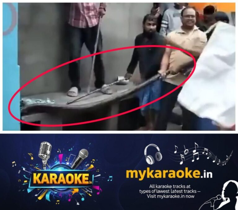 newskerala.net_1761729964_w-1280h-720format-jpgimgid-01k8qkpf6khpxrafvc0c6pn7fgimgname-python-was-found-in-a-drain-1761729