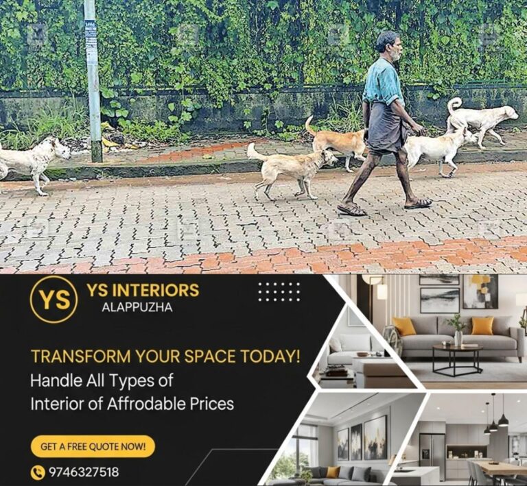 newskerala.net_1761732506_chry-stray-dog-issue