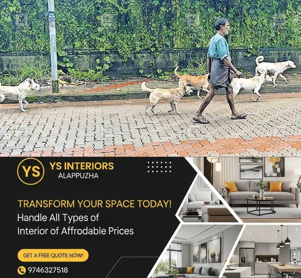 newskerala.net_1761732506_chry-stray-dog-issue