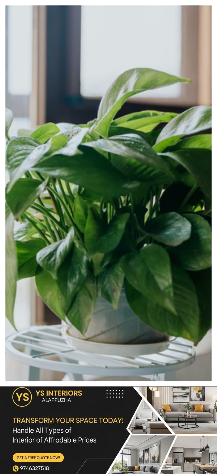 newskerala.net_1761750726_w-720h-1280format-jpgimgid-01k8r7kt18k8e30q8ehmsg2tbjimgname-fotojet-2025-10-29t202613.342-176