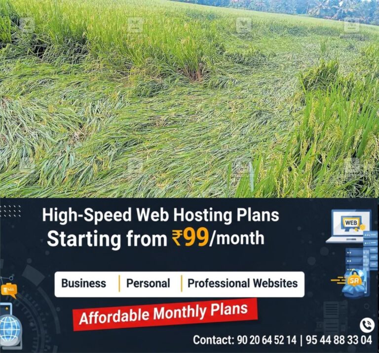 newskerala.net_1761767883_thekke-manappally-paadi-field