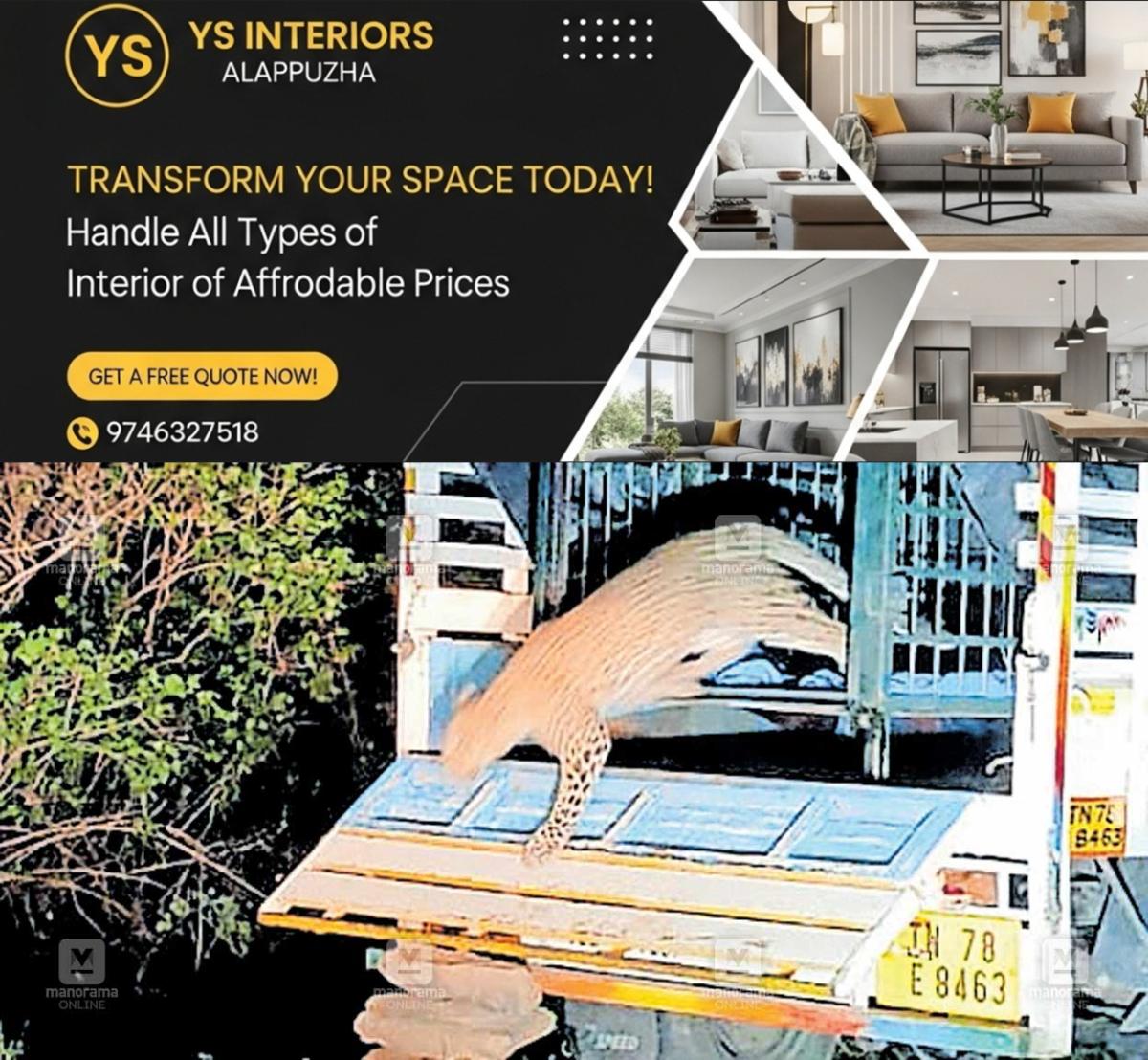 newskerala.net_1761768382_idukki-marayur-leopard-out