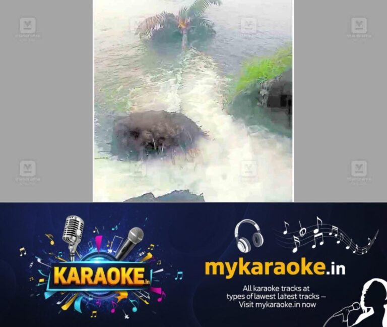 newskerala.net_1761778806_pulinthanathukari-paadi-field