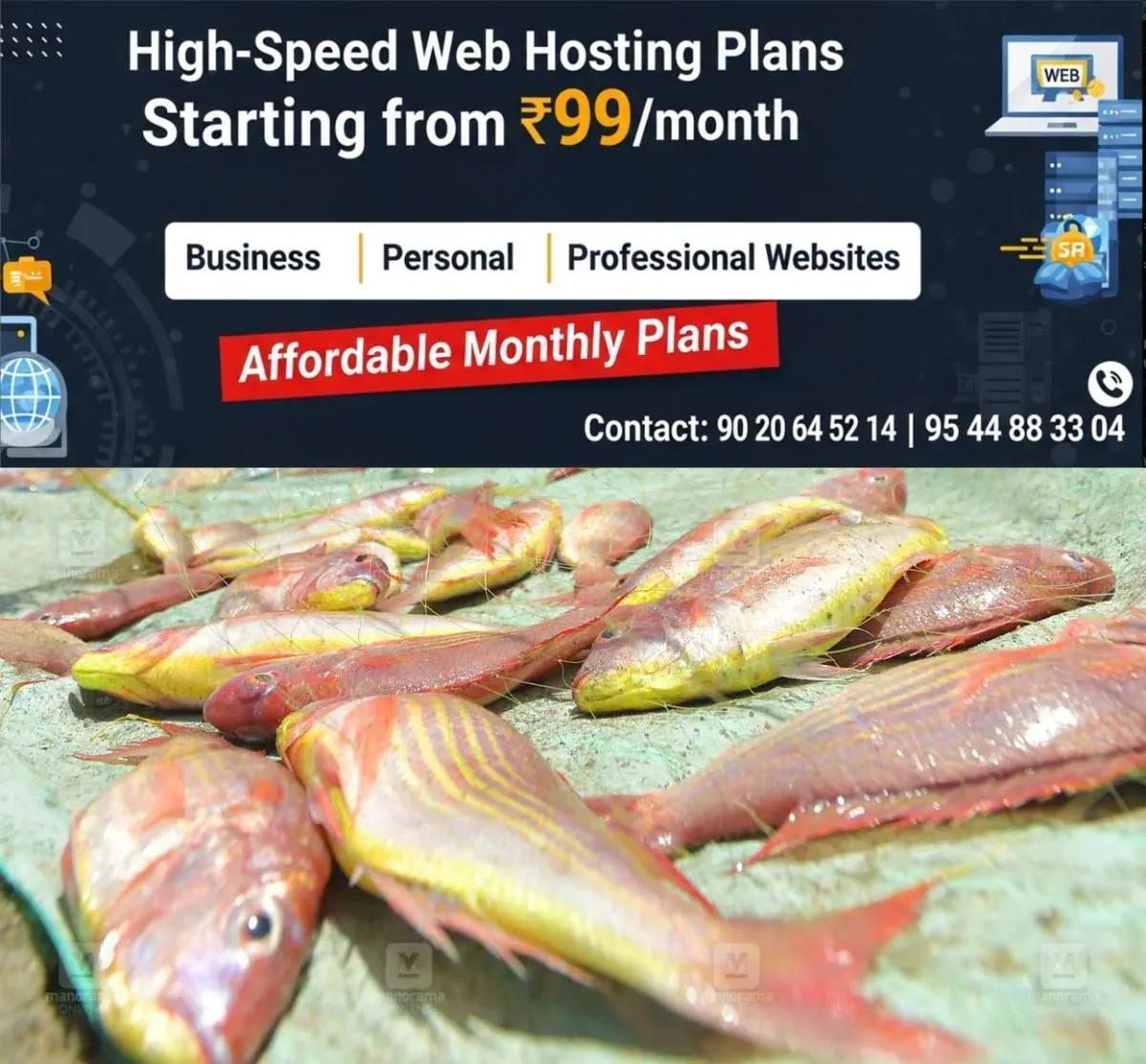 newskerala.net_1761791180_fish