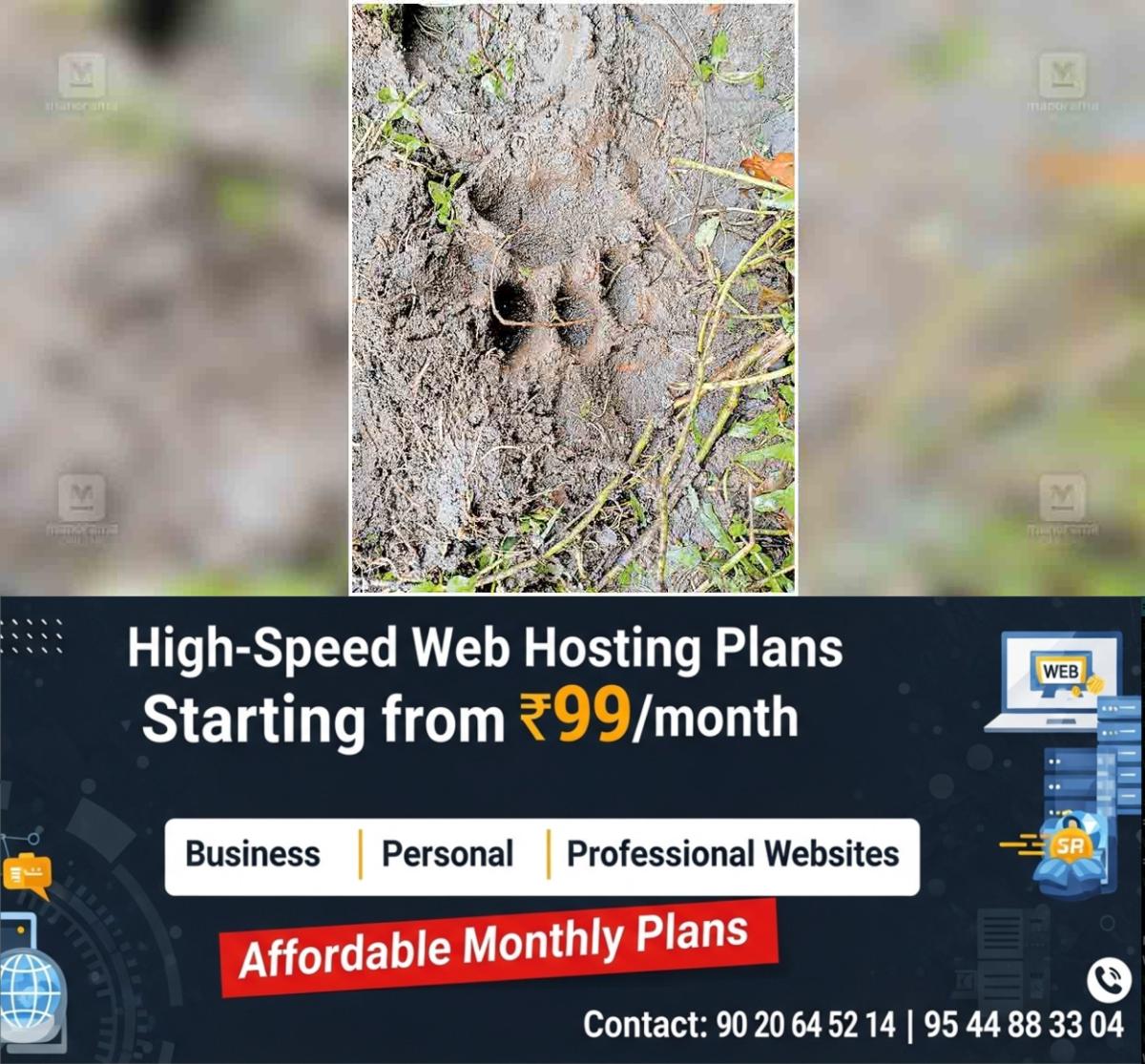 newskerala.net_1761795864_pathanamthitta-tiger-foot-print