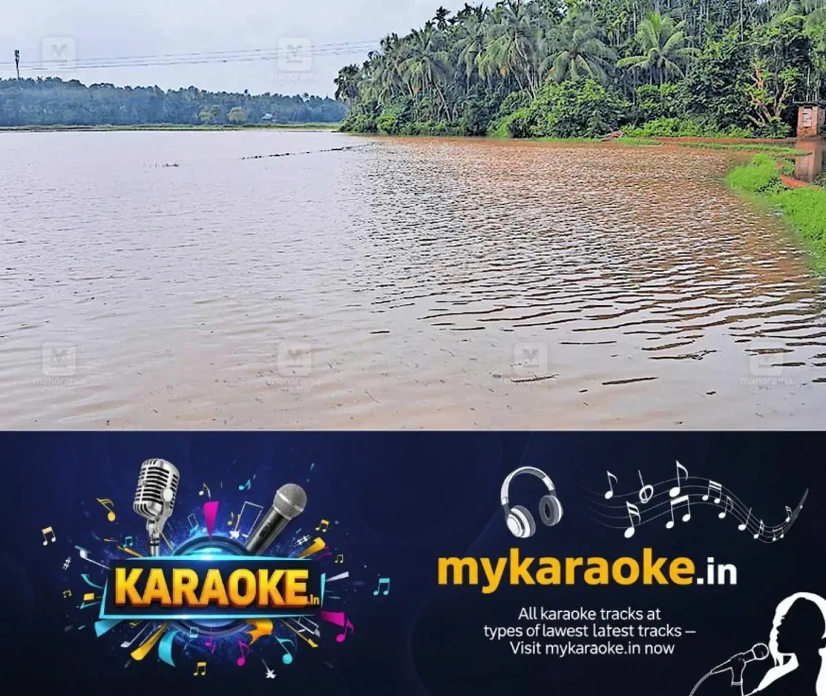 newskerala.net_1761804665_paddy-fields-rainfall
