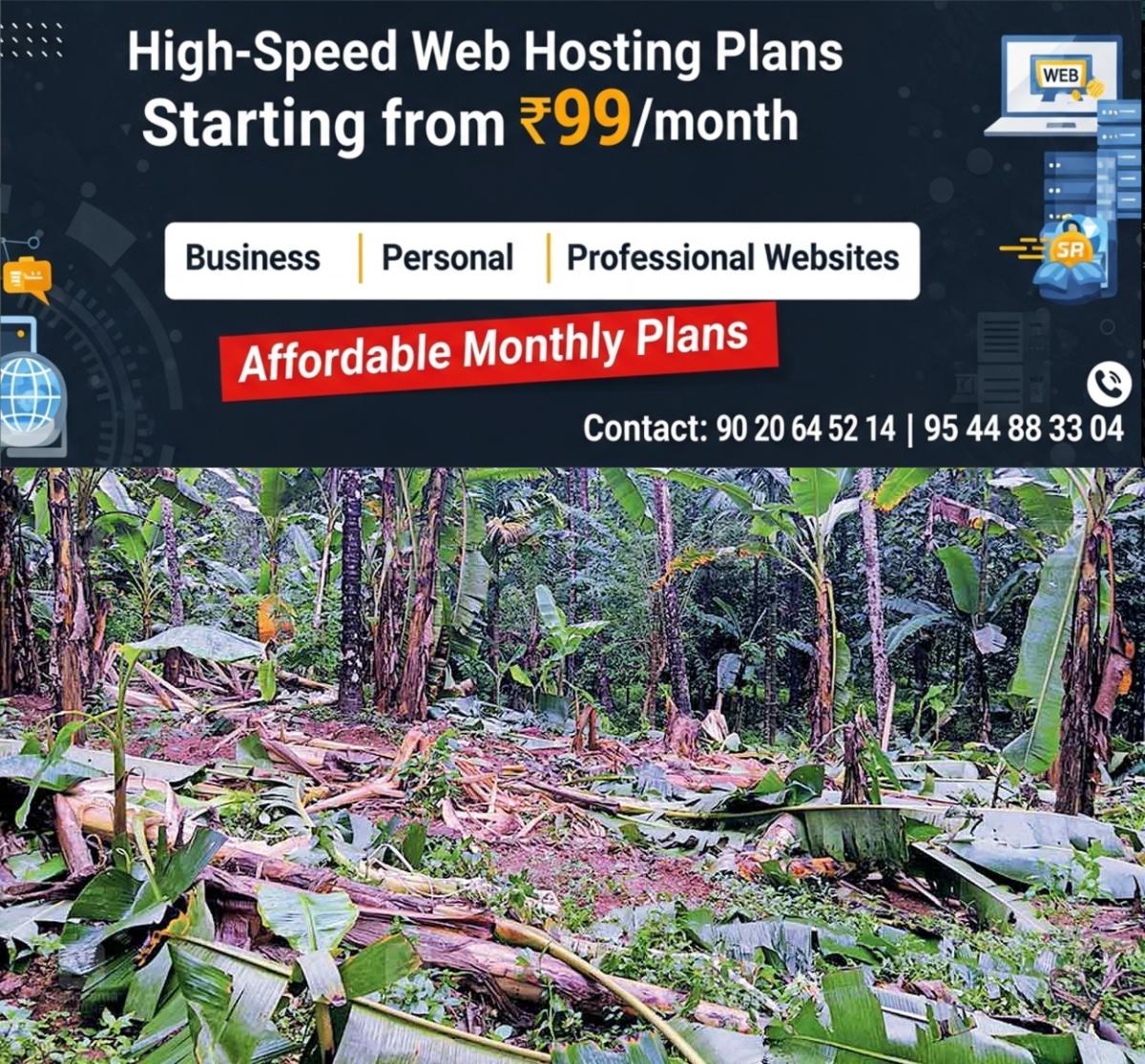 newskerala.net_1761811821_elephant-attack-palakkad