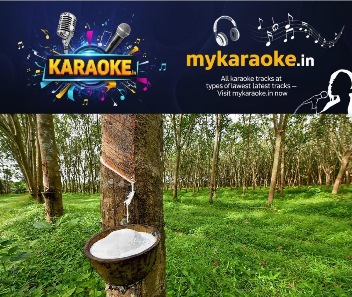 newskerala.net_1761814340_rubber-photo-main