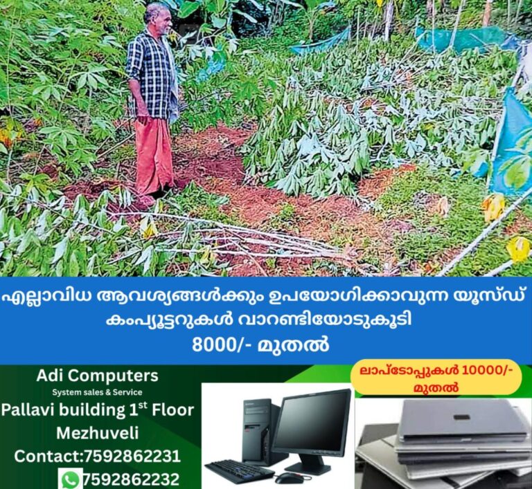 newskerala.net_1761820700_wild-boar-attack-cherupuzha