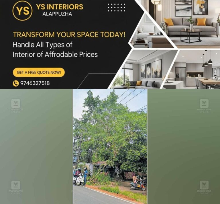 newskerala.net_1761886586_banyan-tree