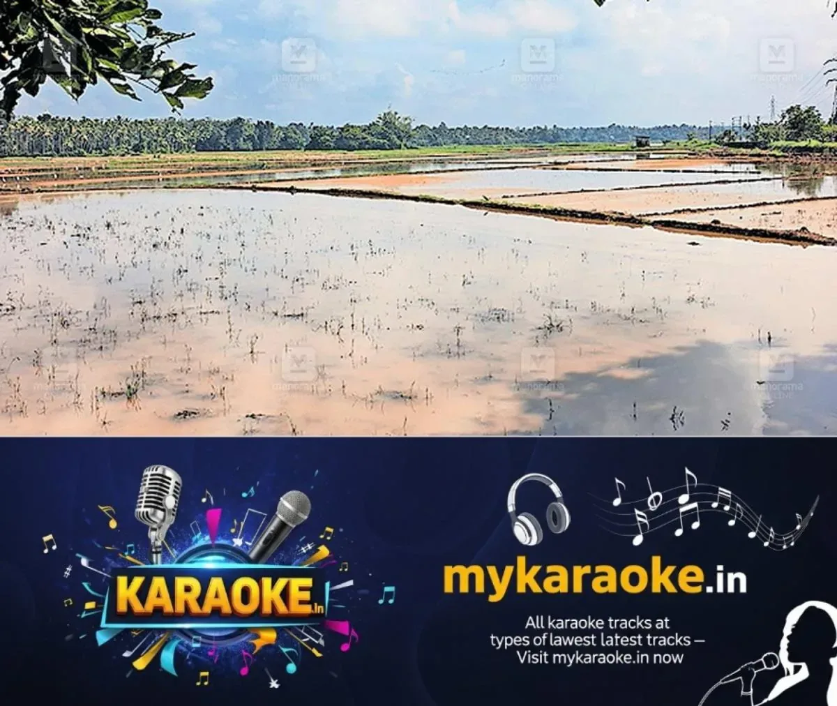 newskerala.net_1761900132_agriculture-waterlogging-issues