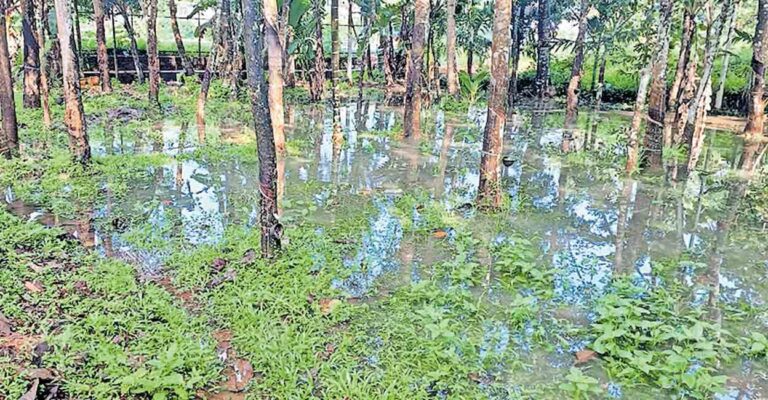 pathanamthitta-waterlogging-konni.jpg