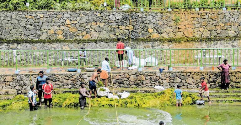 piravom-edapally-chira-cleaning.jpg