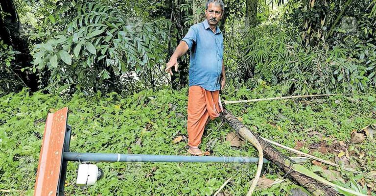 pta-ranni-wild-elephant-threat.jpg