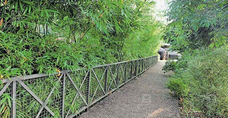 puthoor-zoological-park-green-initiatives.jpg