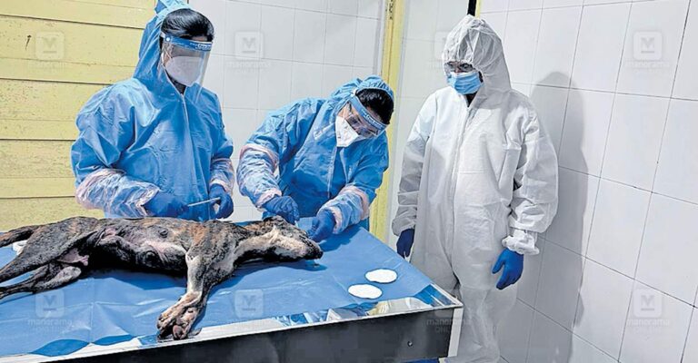 rabies-detection-kannur.jpg