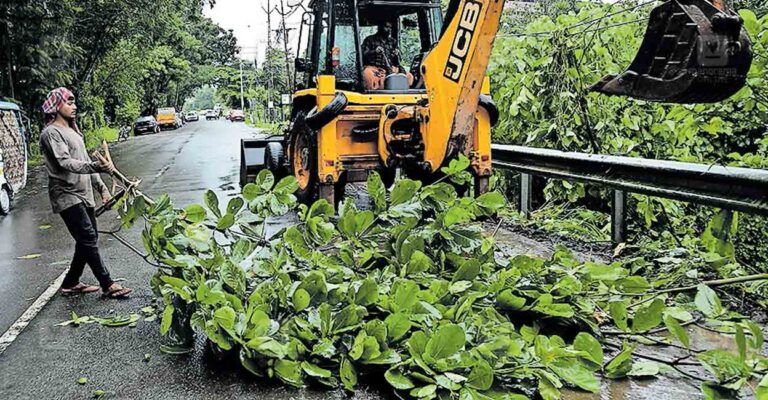 road-clearance.jpg