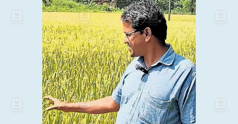 telangana-sona-rice.jpg