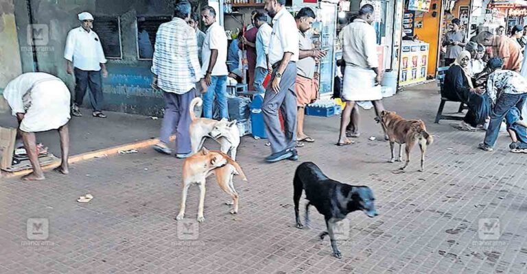 thalipparambu-stray-dog-issue.jpg
