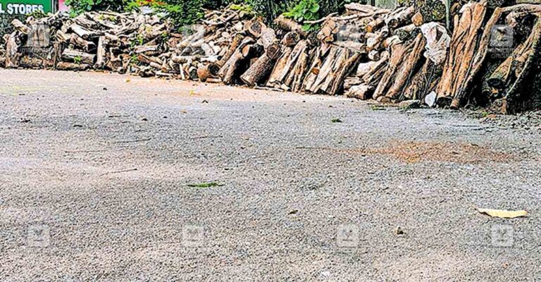 thodupuzha-municipal-ground.jpg