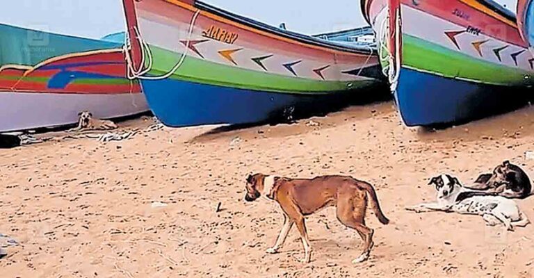 trivandrum-pulluvila-beach-road.jpg