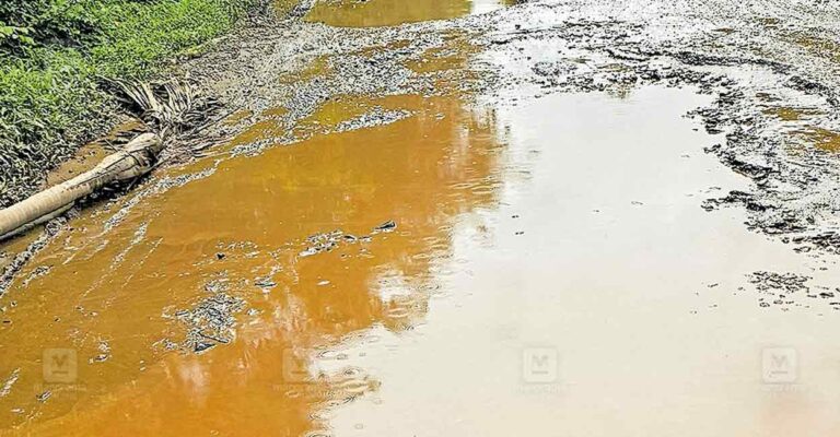 wayanad-panamaram-road-potholes.jpg