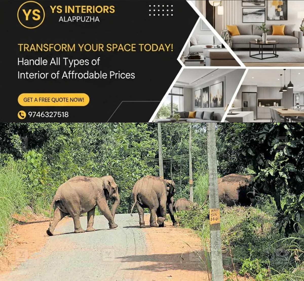 newskerala.net_1761969902_iritty-wild-elephant