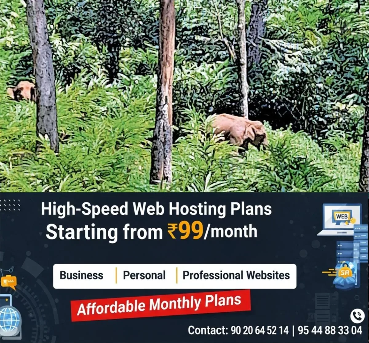 newskerala.net_1761977424_shanthanpara-wild-elephant