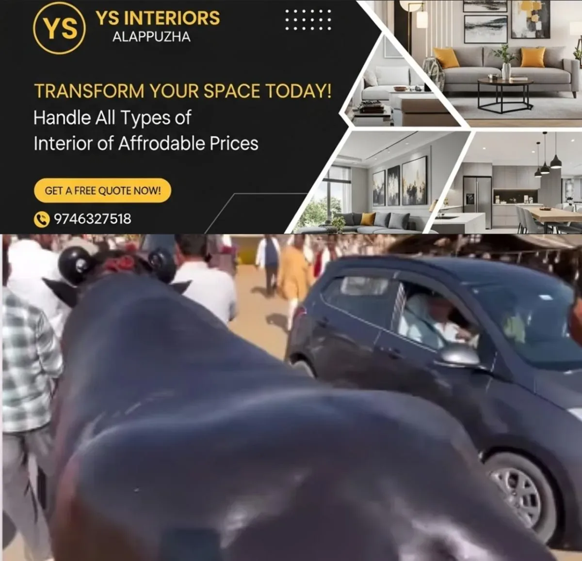newskerala.net_1762022764_w-1280h-720format-jpgimgid-01k90bnfr4x3dtra18khywvaz2imgname-buffalo-haryana-1762022571780
