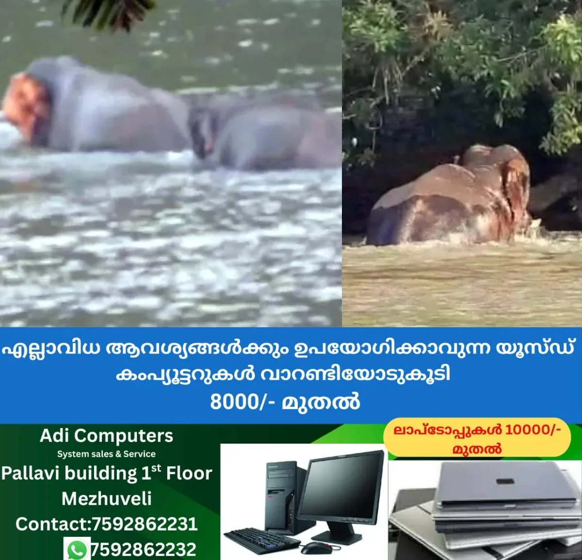 newskerala.net_1762050384_w-1280h-720format-jpgimgid-01k914mwvwqvgbvez5e8jkm2wmimgname-fotojet-2025-11-02t072845.338-176